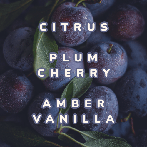 Cashmere Plum • Scented Beeswax Candle - Oconee Candle